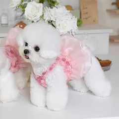 Váy Nàng Thơ Pink Rosette (Tặng kẹp nơ xinh) - Áo, váy cho chó mèo, thú cưng - Ziềng iu Petshop