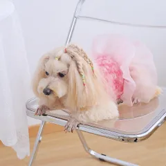 Váy Nàng Thơ Pink Rosette (Tặng kẹp nơ xinh) - Áo, váy cho chó mèo, thú cưng - Ziềng iu Petshop