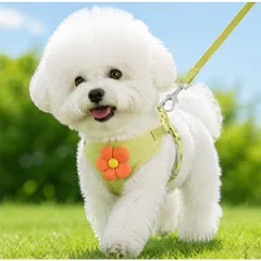 Dây dắt cúc họa mi - Dây dắt cho chó mèo, dây dắt thú cưng - Ziềng iu Petshop