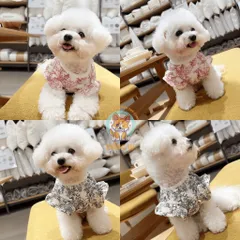 Áo Diora chần bông (Tặng kẹp nơ) cho thú cưng - Áo, váy cho chó mèo, thú cưng - Ziềng iu Petshop