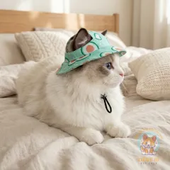 Mũ Cute Chống Nắng cho thú cưng (Tặng kẹp nơ xinh) - Áo, váy cho chó mèo, thú cưng - Ziềng iu Petshop