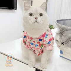 Áo Sơmi Hero (Tặng kẹp nơ) cho thú cưng - Áo, váy cho chó mèo, thú cưng - Ziềng iu Petshop