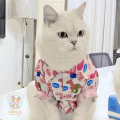 Áo Sơmi Hero (Tặng kẹp nơ) cho thú cưng - Áo, váy cho chó mèo, thú cưng - Ziềng iu Petshop