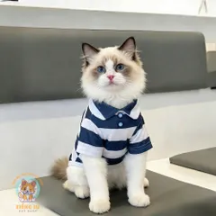 Áo Polo Thun Kẻ Sọc cho thú cưng - Áo, váy cho chó mèo, thú cưng - Ziềng iu Petshop