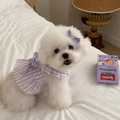 Váy nơ kẻ cho thú cưng (Tặng kẹp nơ) - Áo, váy cho chó mèo, thú cưng - Ziềng iu Petshop