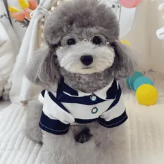 Áo Polo Thun Kẻ Sọc cho thú cưng - Áo, váy cho chó mèo, thú cưng - Ziềng iu Petshop