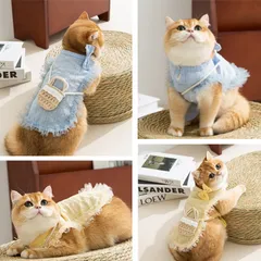 Set Vani Ngọt Ngào (kèm túi + kẹp nơ) - Áo, váy cho chó mèo, thú cưng - Ziềng iu Petshop