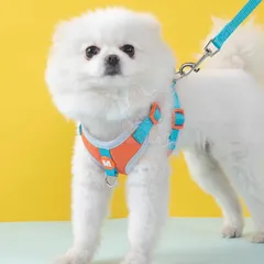 Dây dắt Voi Con cho thú cưng- Dây dắt cho chó mèo, dây dắt thú cưng - Ziềng iu Petshop
