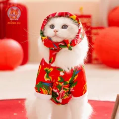 Set Công Phượng và Khăn trùm đầu (Tặng kẹp nơ) cho thú cưng - Áo, váy cho chó mèo, thú cưng - Ziềng iu Petshop