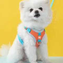 Dây dắt Voi Con cho thú cưng- Dây dắt cho chó mèo, dây dắt thú cưng - Ziềng iu Petshop