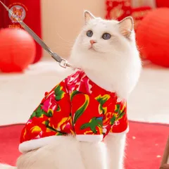 Set Công Phượng và Khăn trùm đầu (Tặng kẹp nơ) cho thú cưng - Áo, váy cho chó mèo, thú cưng - Ziềng iu Petshop