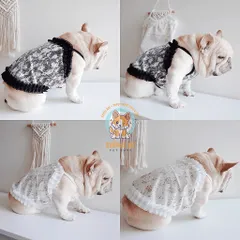 Váy ren hoa nhí sẹcxy (Tặng kẹp nơ) cho thú cưng - Áo, váy cho chó mèo, thú cưng - Ziềng iu Petshop