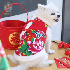 Áo Khoác Công Phượng (Tặng kẹp nơ) cho thú cưng - Áo, váy cho chó mèo, thú cưng - Ziềng iu Petshop
