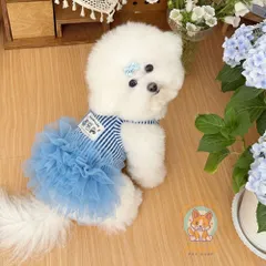 Váy Quý Cô Gingham (Tặng kẹp nơ) - Áo, váy cho chó mèo, thú cưng - Ziềng iu Petshop