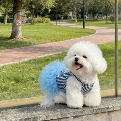 Váy Quý Cô Gingham (Tặng kẹp nơ) - Áo, váy cho chó mèo, thú cưng - Ziềng iu Petshop