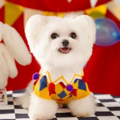 Áo Chú Hề cho thú cưng - Áo, váy cho chó mèo, thú cưng - Ziềng iu Petshop