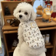 Áo Khoác Teddy Bear lót lông (Tặng kẹp nơ) cho thú cưng - Áo, váy cho chó mèo, thú cưng - Ziềng iu Petshop