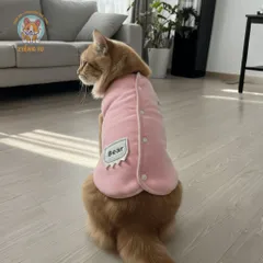 Áo Khoác Gile Bear Hồng (Tặng kẹp nơ) cho thú cưng - Áo, váy cho chó mèo, thú cưng - Ziềng iu Petshop