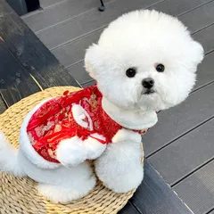 Áo Tết Đại Cát Đại Lợi (Tặng kẹp nơ), Áo Tết cho thú cưng - Áo, váy cho chó mèo, thú cưng - Ziềng iu Petshop