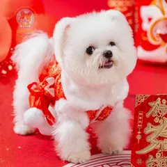 Áo Tết Đại Cát Đại Lợi (Tặng kẹp nơ), Áo Tết cho thú cưng - Áo, váy cho chó mèo, thú cưng - Ziềng iu Petshop