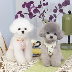 Váy Sườn Xám (Tặng kẹp nơ) - Áo, váy cho chó mèo, thú cưng - Ziềng iu Petshop