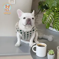 Áo khoác gile Gấu (Tặng kẹp nơ) cho thú cưng - Áo, váy cho chó mèo, thú cưng - Ziềng iu Petshop
