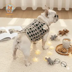 Áo khoác gile Gấu (Tặng kẹp nơ) cho thú cưng - Áo, váy cho chó mèo, thú cưng - Ziềng iu Petshop