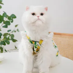 Váy Chanh Vàng cho thú cưng (Tặng kẹp nơ) - Áo, váy cho chó mèo, thú cưng - Ziềng iu Petshop