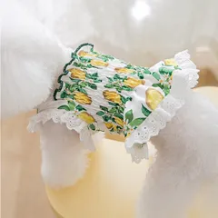 Váy Chanh Vàng cho thú cưng (Tặng kẹp nơ) - Áo, váy cho chó mèo, thú cưng - Ziềng iu Petshop