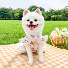 Váy hoa nấm (Tặng kẹp nơ) cho thú cưng - Áo, váy cho chó mèo, thú cưng - Ziềng iu Petshop