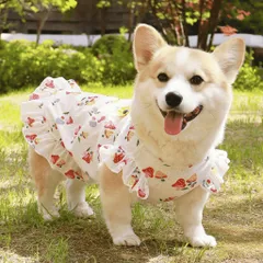 Váy hoa nấm (Tặng kẹp nơ) cho thú cưng - Áo, váy cho chó mèo, thú cưng - Ziềng iu Petshop