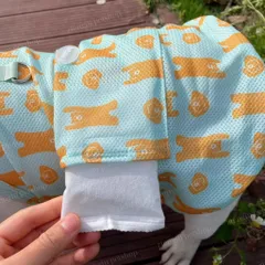 SET áo và mũ Hawaii - Áo, váy cho chó mèo, thú cưng - Ziềng iu Petshop