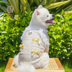 Váy ren lưới Thanh Lam & Hạ Vàng (Tặng kẹp nơ) - Áo, váy cho chó mèo, thú cưng - Ziềng iu Petshop