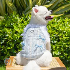 Váy ren lưới Thanh Lam & Hạ Vàng (Tặng kẹp nơ) - Áo, váy cho chó mèo, thú cưng - Ziềng iu Petshop