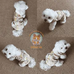 Áo gấm Wàng Thượng cho thú cưng (Tặng kẹp nơ) - Áo, váy cho chó mèo, thú cưng - Ziềng iu Petshop