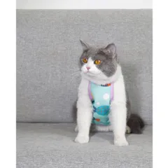Tạp dề - Yếm bụng dễ thương cho Pet - Áo cho chó mèo, thú cưng - Ziềng iu Petshop