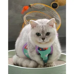 Tạp dề - Yếm bụng dễ thương cho Pet - Áo cho chó mèo, thú cưng - Ziềng iu Petshop