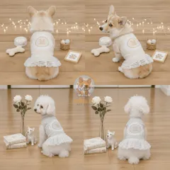 Váy Mơ Mộng cotton ren (Tặng kẹp nơ) cho thú cưng - Áo, váy cho chó mèo, thú cưng - Ziềng iu Petshop