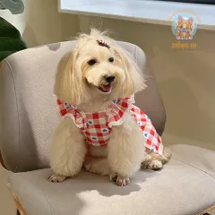 Váy Công Chúa Sweetie (Tặng kẹp nơ) - Áo, váy cho chó mèo, thú cưng - Ziềng iu Petshop