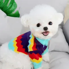 Áo Len Cầu Vồng - Áo cho chó mèo, thú cưng - Ziềng iu Petshop
