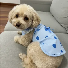 Váy 2 dây tim xanh (Tặng kẹp nơ) - Áo, váy cho chó mèo, thú cưng - Ziềng iu Petshop