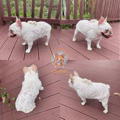 Váy Hoa Vintage Roman (Tặng kẹp nơ) cho thú cưng - Áo, váy cho chó mèo, thú cưng - Ziềng iu Petshop