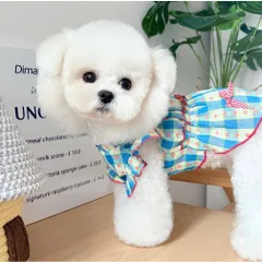Váy Kẻ Blue Daisy (Tặng kẹp nơ) cho thú cưng - Áo, váy cho chó mèo, thú cưng - Ziềng iu Petshop