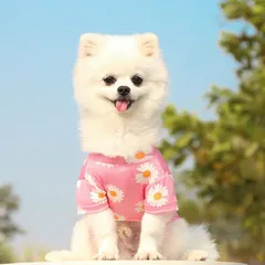 Áo thun hoa cúc G-Dragon - Blackpink - Áo, váy cho chó mèo, thú cưng - Ziềng iu Petshop