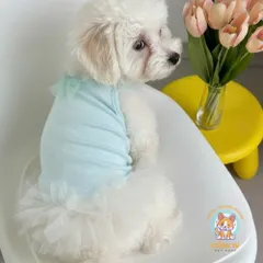 Váy Ba Lê Công Túa (Tặng kẹp nơ) cho thú cưng - Áo, váy cho chó mèo, thú cưng - Ziềng iu Petshop