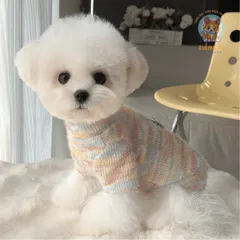 Áo Nỉ Len Lông Thỏ Rainbow (Tặng kẹp nơ) cho thú cưng - Áo, váy cho chó mèo, thú cưng - Ziềng iu Petshop