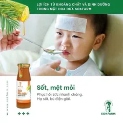 Mật hoa dừa cô đặc Sokfarm 250g - gia vị cho bé ăn dặm 250g