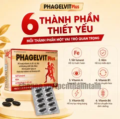 Vitamin tổng hợp PHAGELVIT PLUS bồi bổ cơ thể, tăng cường sức đề kháng - Hộp 30 viên