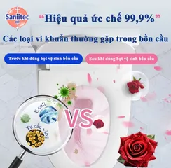 Bọt Vệ Sinh Bồn Cầu Vệ Sinh Sạch Vết Bẩn Toilet Bồn Cầu, Làm Trắng Cặn Bám Đa Năng- diệt khuẩn 500ml