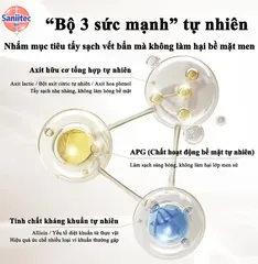 Bọt Vệ Sinh Bồn Cầu Vệ Sinh Sạch Vết Bẩn Toilet Bồn Cầu, Làm Trắng Cặn Bám Đa Năng- diệt khuẩn 500ml